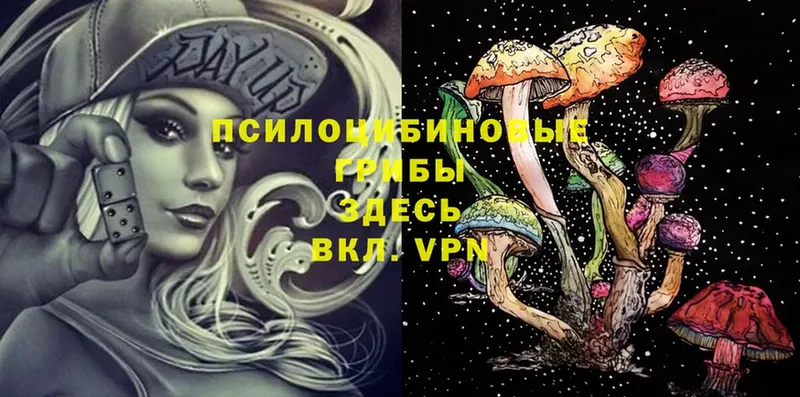 Псилоцибиновые грибы Magic Shrooms  MEGA ONION  Железногорск-Илимский 